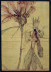 Anke Straka: zonder titel - 2008/2009, olieverf op paneel, 37 x 26 cm