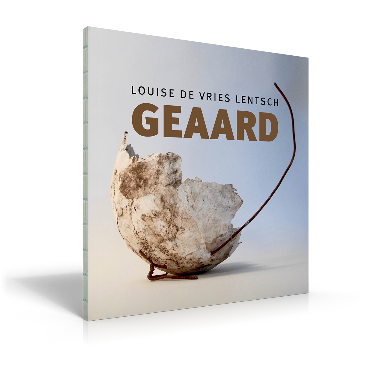 72dpi_boekband 3D Geaard zonder kneep